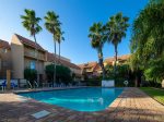 Community pool surrounded by palms. Enjoy your afternoon lounging or tanning on the tanning ledge of this beautiful pool